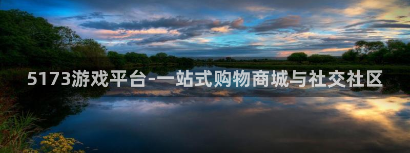 ng娱乐电子游戏平台
