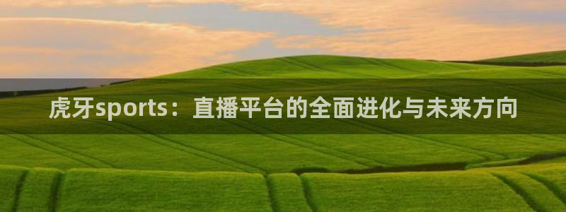 蜘蛛体育nba直播：虎牙sports：直播平台的全面进化与未来方向