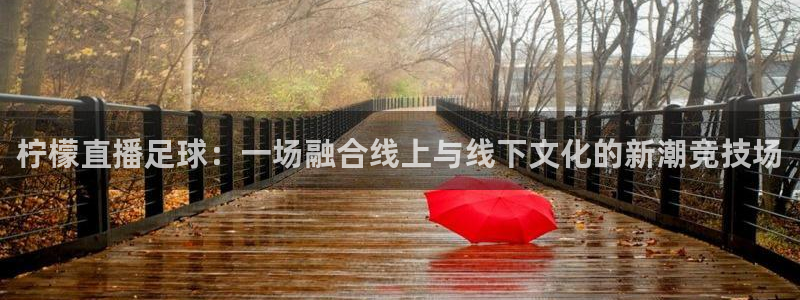 蜘蛛体育可可：柠檬直播足球：一场融合线上与线下文化的新潮竞技场