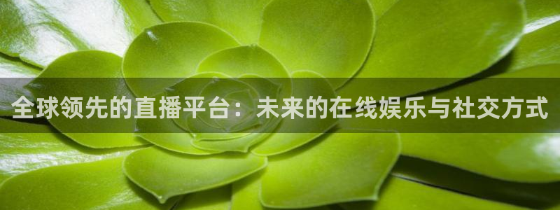 蜘蛛nba：全球领先的直播平台：未来的在线娱乐与社交方式