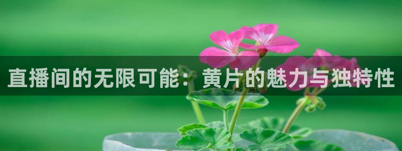 蜘蛛直播体育足球：直播间的无限可能：黄片的魅力与独特性