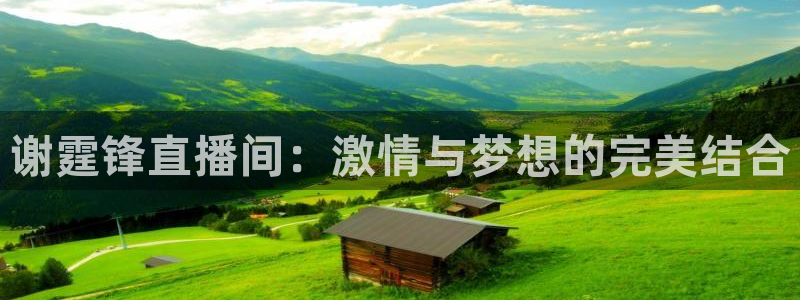 蜘蛛nba免费直播在线观看高清：谢霆锋直播间：激情与梦想的完美结合
