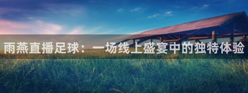 蜘蛛体育免费直播nba：雨燕直播足球：一场线上盛宴中的独特体验