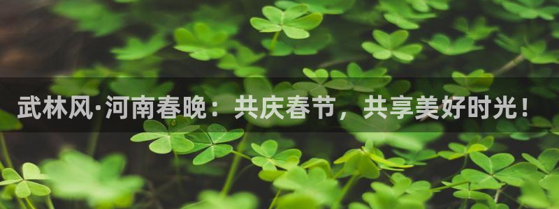 蜘蛛体育直播：武林风·河南春晚：共庆春节，共享美好时光！