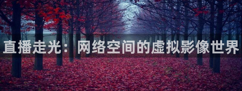 nba蜘蛛免费直播：直播走光：网络空间的虚拟影像世界