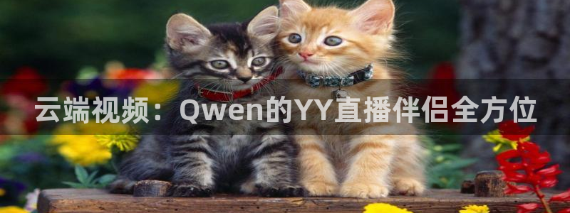蜘蛛nba：云端视频：Qwen的YY直播伴侣全方位