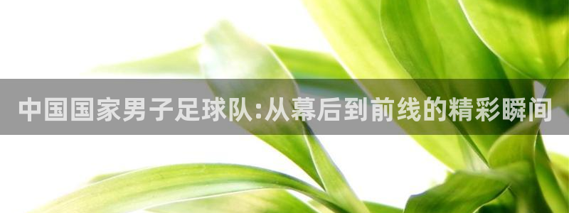 jrs蜘蛛直播nba免费：中国国家男子足球队:从幕后到前线的精彩瞬间