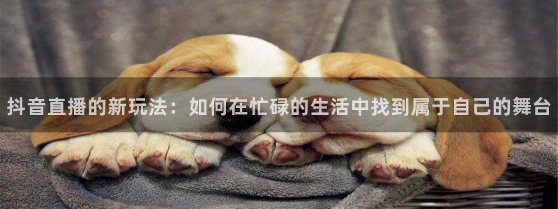 jrs蜘蛛直播nba免费：抖音直播的新玩法：如何在忙碌的生活中找到属于自己的舞台