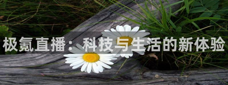 蜘蛛直播nba直播在线直播：极氪直播：科技与生活的新体验