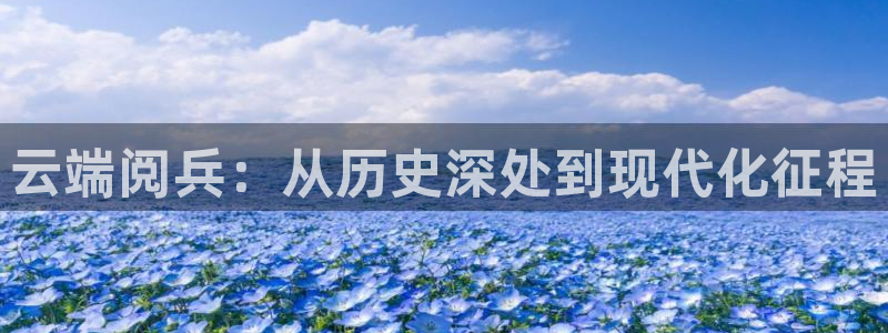 蜘蛛直播nba免费：云端阅兵：从历史深处到现代化征程