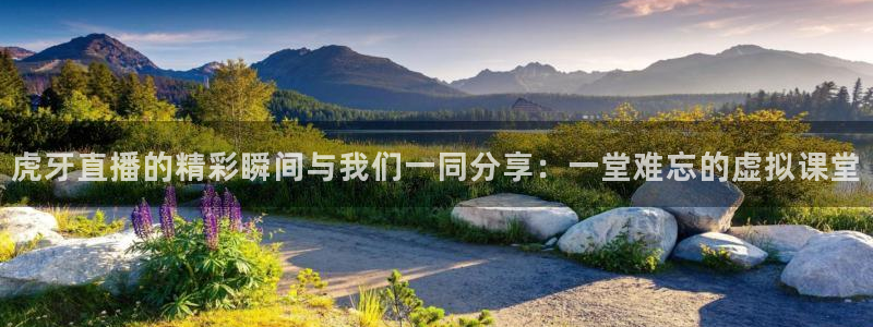 蜘蛛体育直播小狐狸：虎牙直播的精彩瞬间与我们一同分享：一堂难忘的虚拟课堂